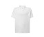 JT POLO
