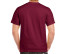 ULTRA COTTON ADULT T-SHIRT